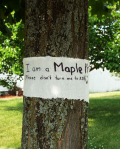 Sometimes you just have to do it yourself!